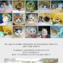 다란동물병원 이미지