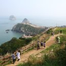 (주)여행코리아