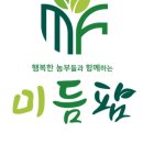 페락스 이미지
