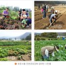 친환경농장 - 김해시 대동로881번길 44 | 친환경농장