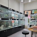 이쁘개 건강하개 이미지