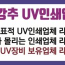 디엔피플