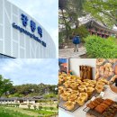 경연초중학교 맞은편 | 강릉 여행 아이랑 가볼만한곳 기차여행 코스 추천 7