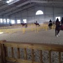 홍성군 승마장 이미지