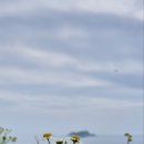 대방행정사 이미지