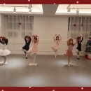 발레비솔르무용학원 이미지