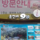 2018년 08ㆍ19(일 ) 홍천 수타사ㆍ가리산계곡 이미지