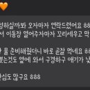 라온캐터리 이미지