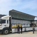 세종종합자동차정비공업사 이미지