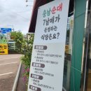 청주 죽림동 충남순대 후기