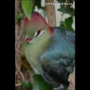 원스톱공인중개사사무소 이미지