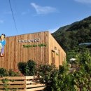 김삿갓면-2 이미지