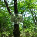 100대 명산 경남 통영 미륵산(461m) 산행 #1 이미지