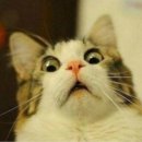 정 담은 집 | [대구맛집] 🌿 황금동 맛집 /담은정칼국수/방문후기 🍜