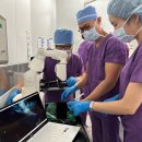 안테나메디컬 이미지