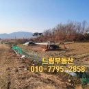 로뎅부동산공인중개사사무소 이미지