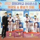 라이온스태권도 이미지