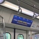 1. 티웨이 인천-시드니: TW501, TW502, 좌석 사전 지정 사전체크인, 호주 입국심사