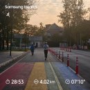 미냥이 | 2026. 2월-2🤍 (in 치앙마이)