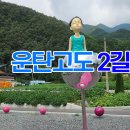 예밀촌길 이미지