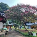 남도문화방 | [꼭 가봐야 할 남도 여행지] 천년고찰 백련사, 다산 정약용선생의 발자취를 느낄수있는 다산초당