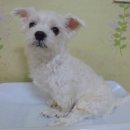 금정동주민센터 이미지