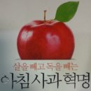 황토는 암퇴치(면역력획기적자연치유) 이미지