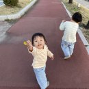 율곡천 3 이미지