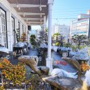 박해윤통영해물밥상 이미지