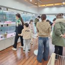 베리독 강아지고양이 평택본점 이미지