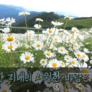 평창송어회 이미지