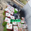 정원유통