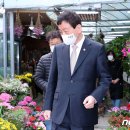 진영화훼
