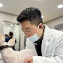 덕신농장 | 강아지 눈 하얗게 보인다면 &#39;이것&#39;이 의심됩니다.