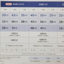진접안경원 네이버블로그