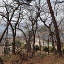 부석사삼층석탑 이미지