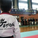 연세토성태권도 이미지