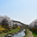 장수천* 이미지