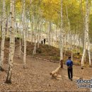 황토한우농장 이미지