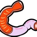 선항외과 이미지