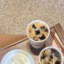 오송애견 이미지