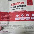 우리집강아지 | 강아지연어사료 밸런도그 우리 집 강아지 급여 후기