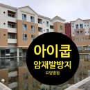 순천생협요양병원 노동조합 | 가볼만한 곳 25년 여름가족여행 괴산 자연드림파크에서 힐링 그리고 아이쿱재발방지 요양병원 방문 후기