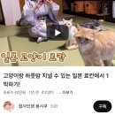 가야여관 이미지
