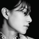 비컷 이미지