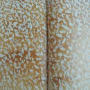 해룡이의 벗 &#34;릴리회&#34; 이미지