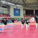 호암태권도 이미지