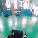 학정초교 병설유치원 이미지