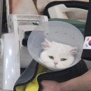 샤샤미용실 이미지
