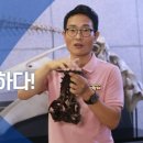 지질자원연구원 지질박물관 이미지